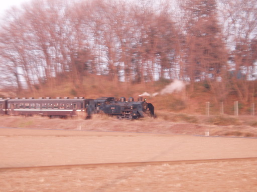 �����ނ�т��̌�����������