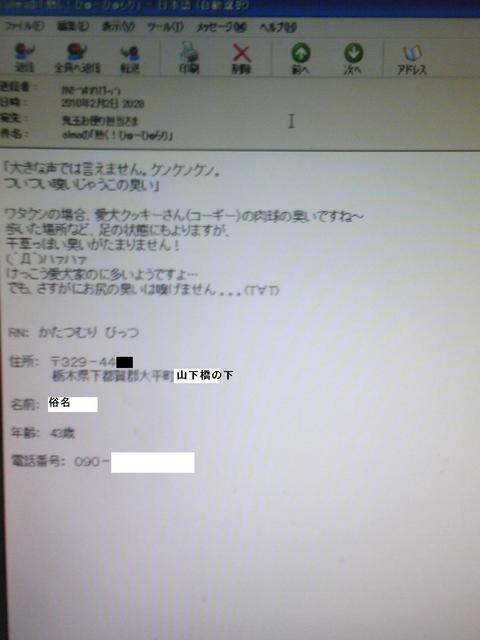 �����ނ�т��̌�����������