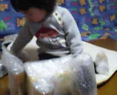 �����ނ�т��̌�����������