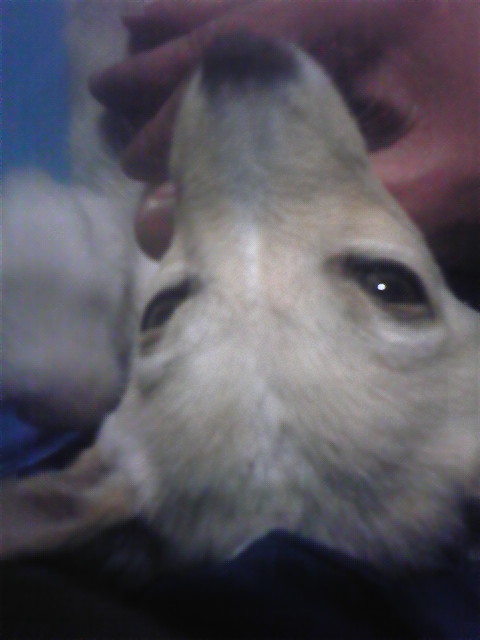 �����ނ�т��̌�����������