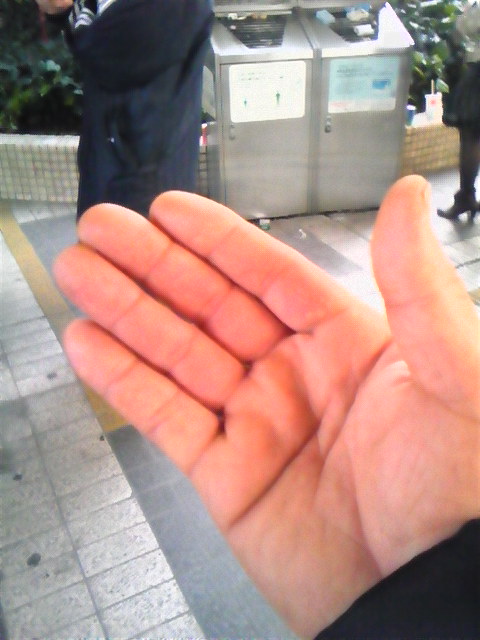 �����ނ�т��̌�����������