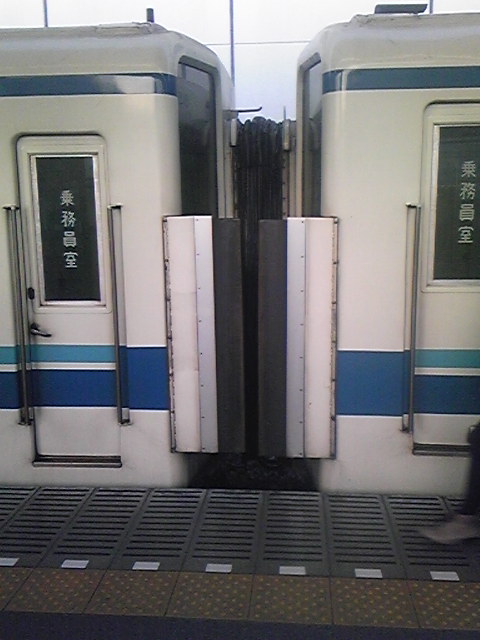 �����ނ�т��̌�����������