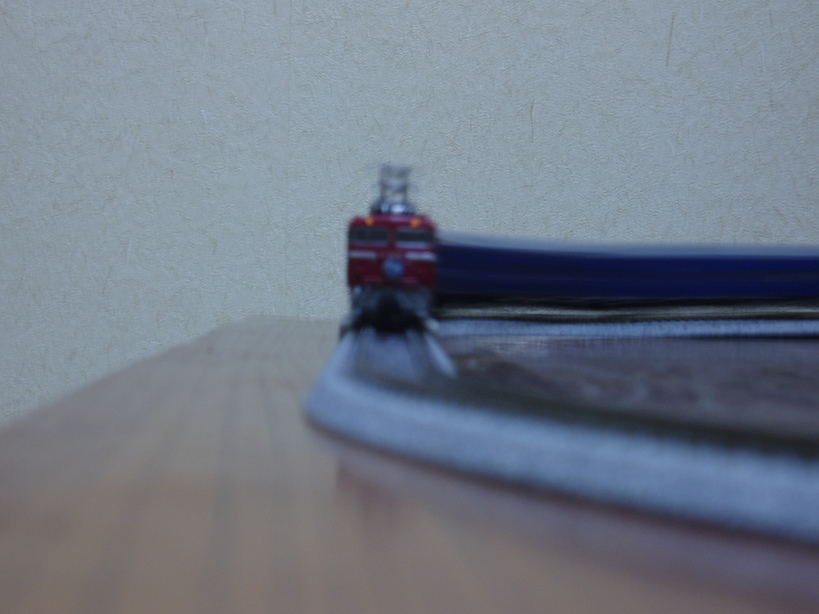 �����ނ�т��̌�����������