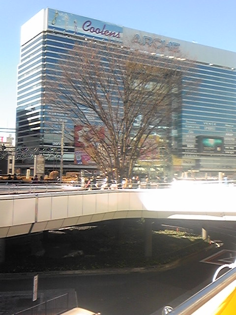 �����ނ�т��̌�����������