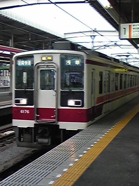 �����ނ�т��̌�����������