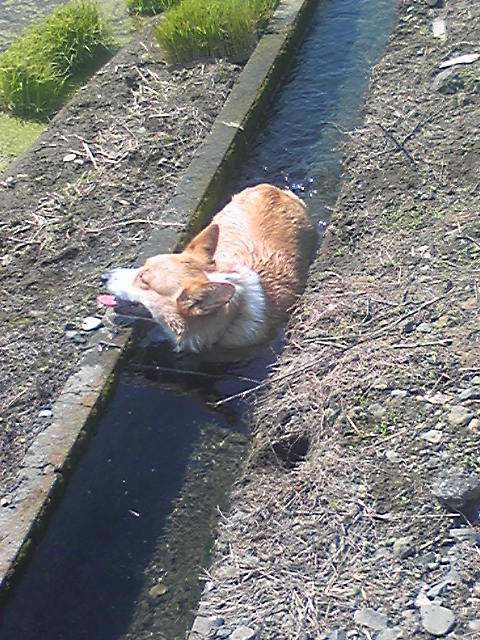 �����ނ�т��̌�����������