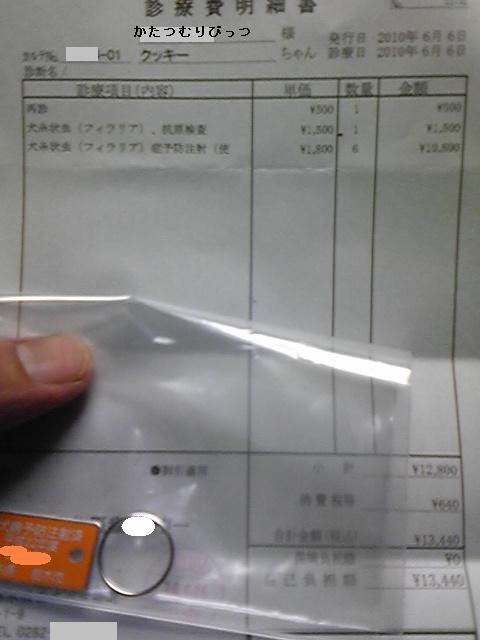 �����ނ�т��̌�����������