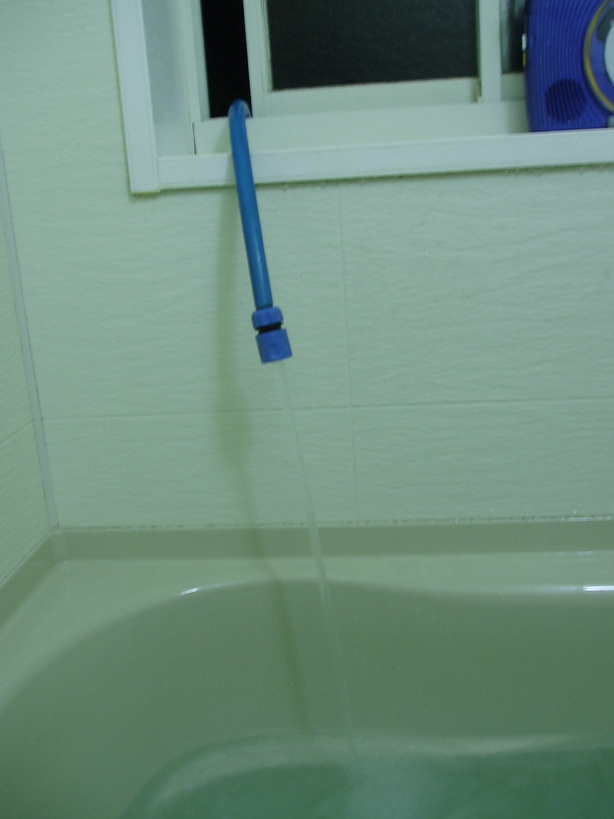 �����ނ�т��̌�����������