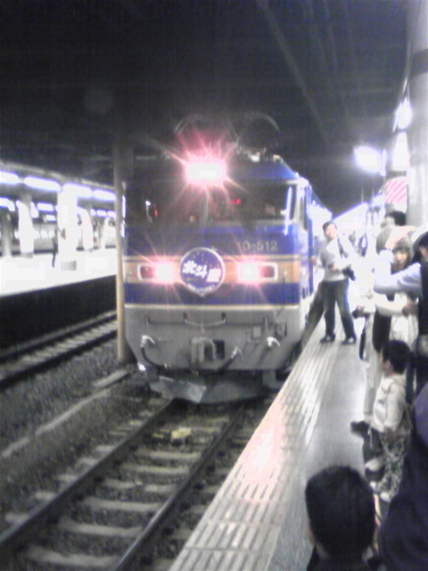 �����ނ�т��̌�����������