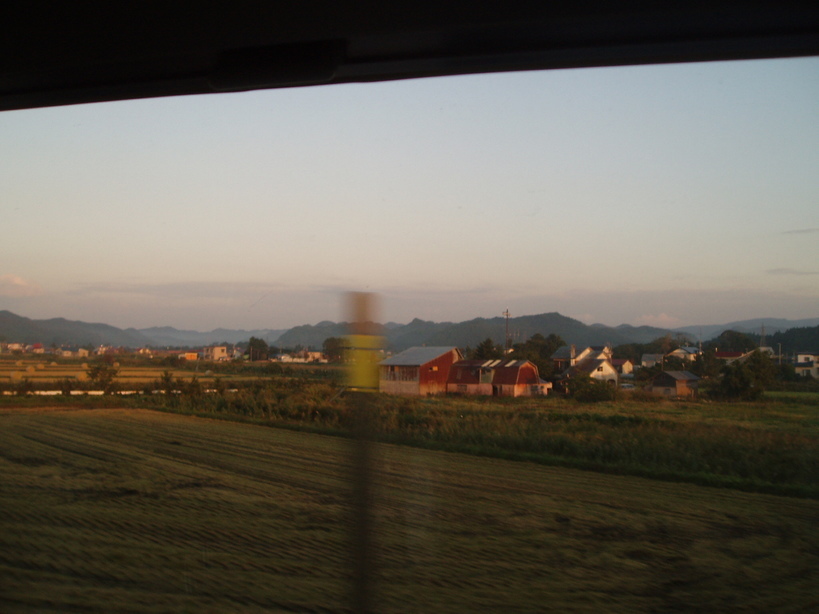 �����ނ�т��̌�����������