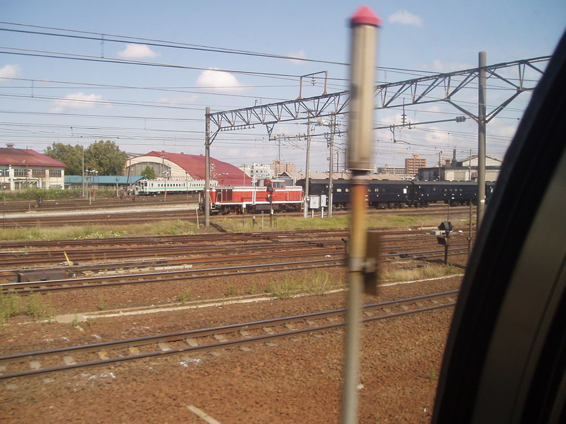 �����ނ�т��̌�����������