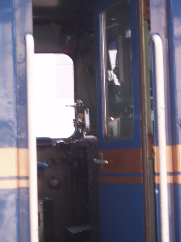 �����ނ�т��̌�����������