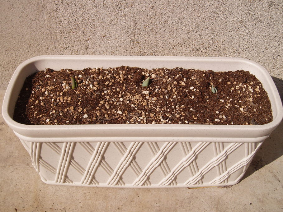 �����ނ�т��̌�����������