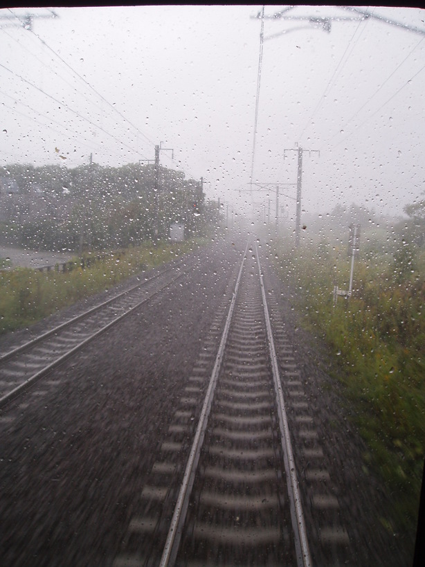 �����ނ�т��̌�����������