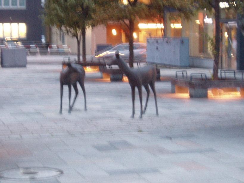 �����ނ�т��̌�����������