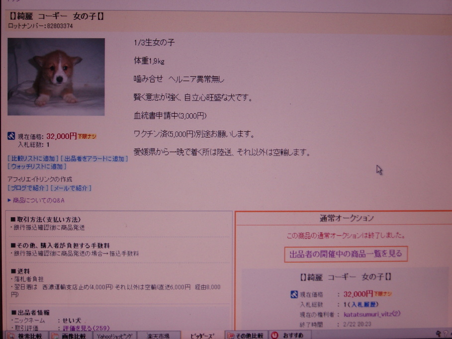 �����ނ�т��̌�����������