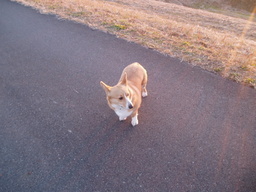 �����ނ�т��̌�����������