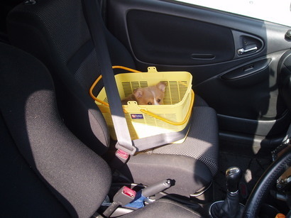 �����ނ�т��̌�����������