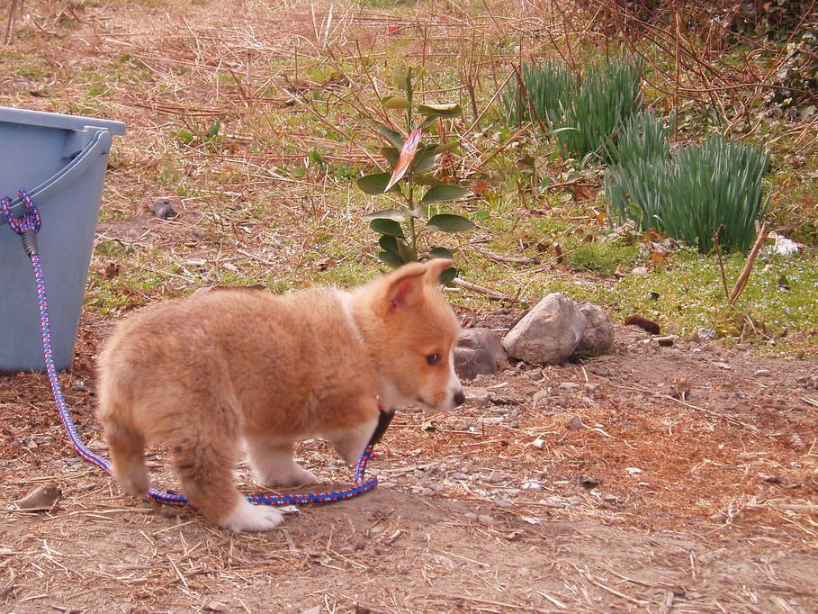 �����ނ�т��̌�����������