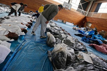 �����ނ�т��̌�����������