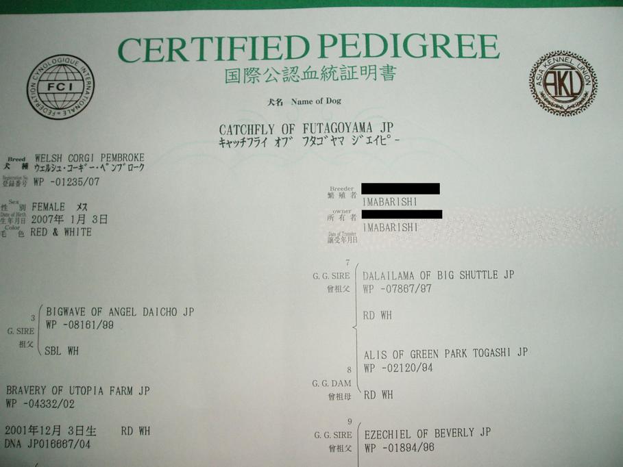 �����ނ�т��̌�����������