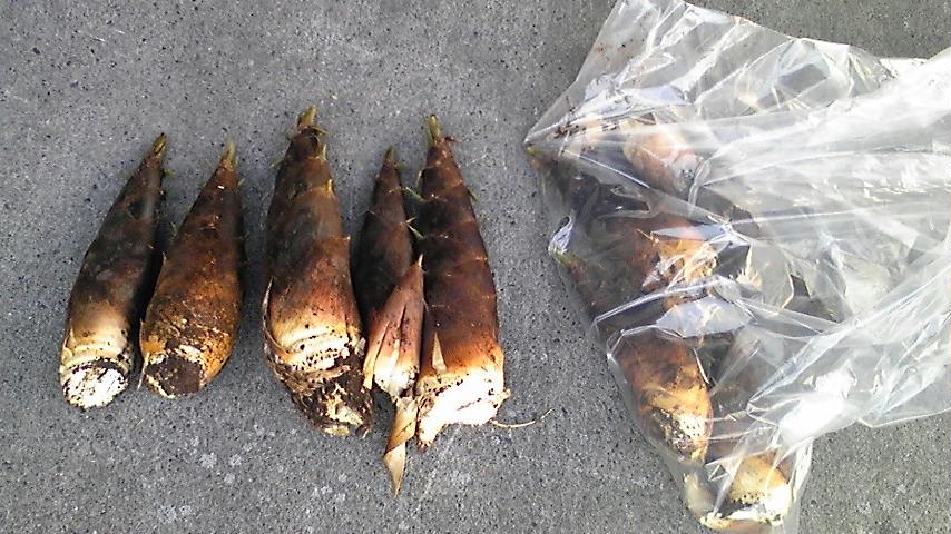 �����ނ�т��̌�����������