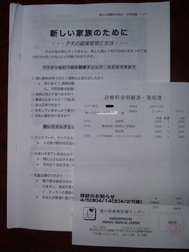 �����ނ�т��̌�����������