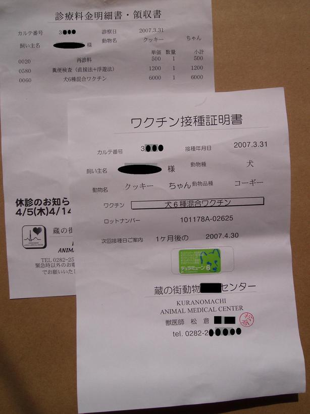 �����ނ�т��̌�����������