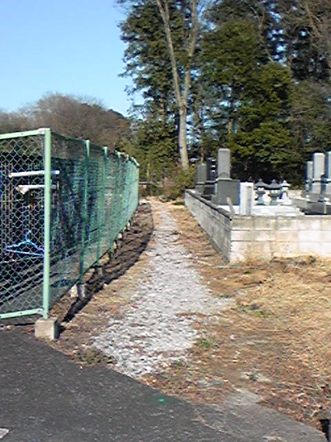 �����ނ�т��̌�����������