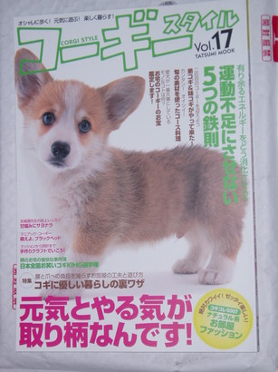 �����ނ�т��̌�����������