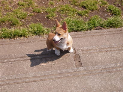 �����ނ�т��̌�����������