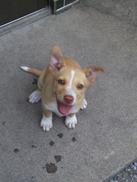 �����ނ�т��̌�����������