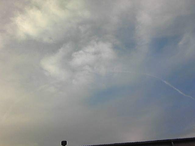 �����ނ�т��̌�����������