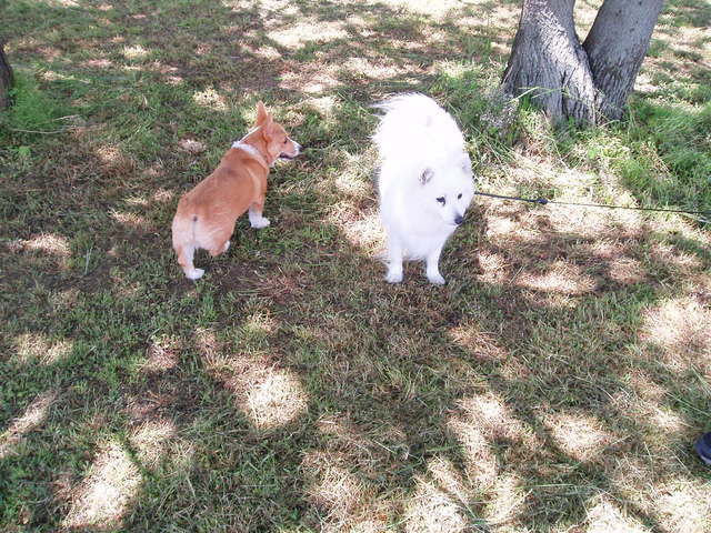 �����ނ�т��̌�����������