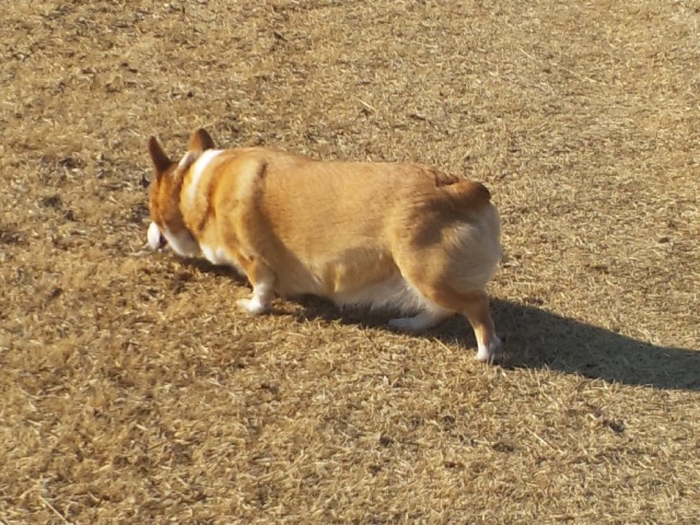 �����ނ�т��̌�����������