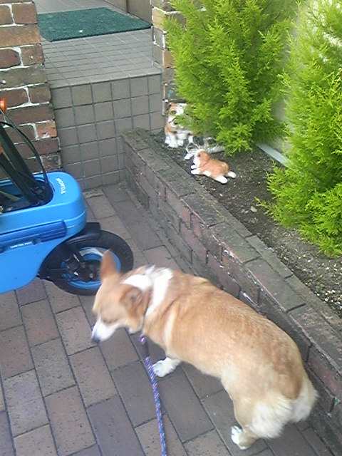 �����ނ�т��̌�����������