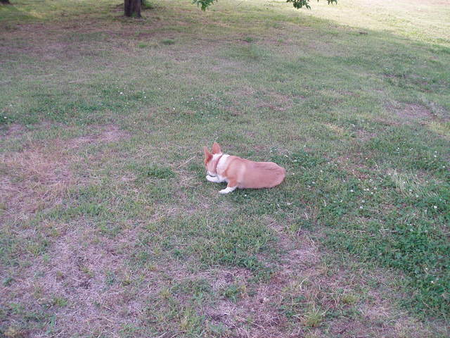 �����ނ�т��̌�����������