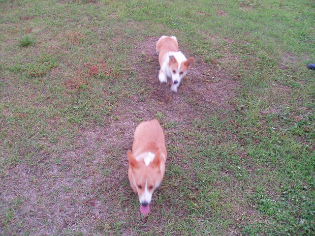 �����ނ�т��̌�����������