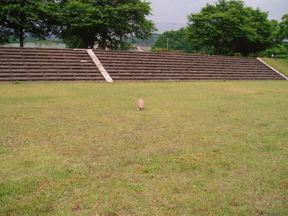 �����ނ�т��̌�����������