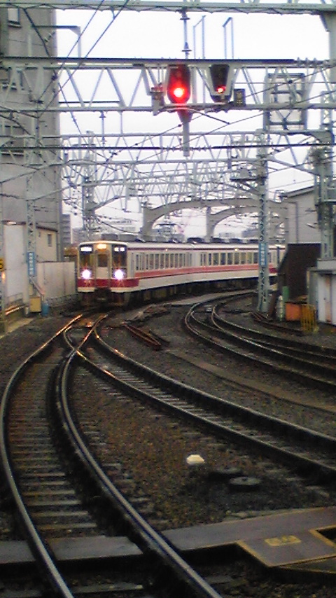 �����ނ�т��̌�����������