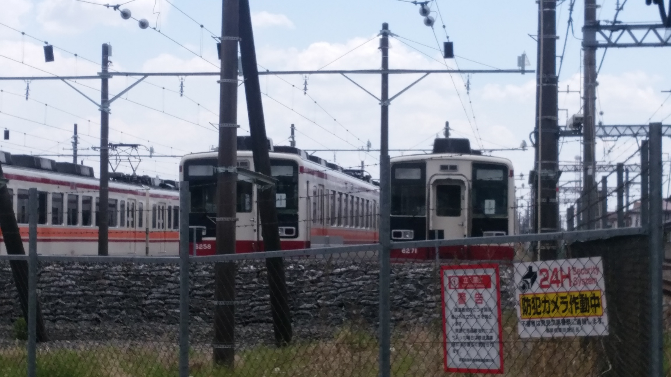 �����ނ�т��̌�����������