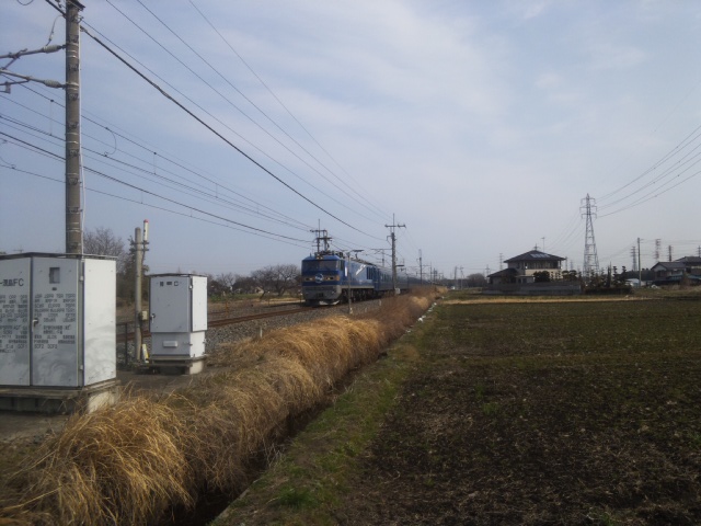 �����ނ�т��̌�����������