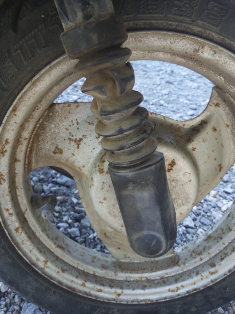 �����ނ�т��̌�����������