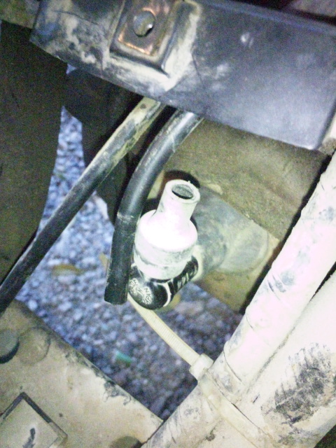 �����ނ�т��̌�����������