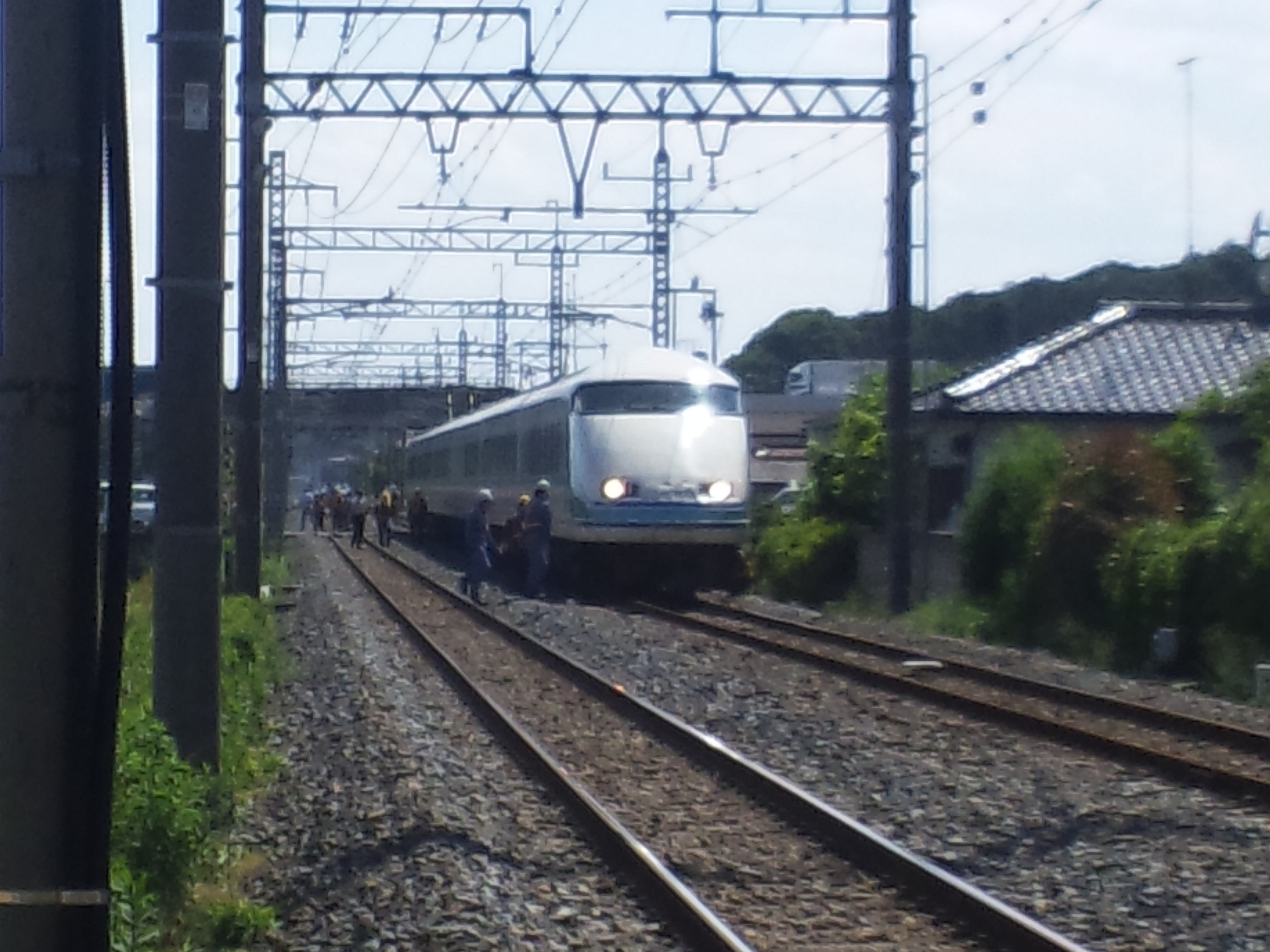 �����ނ�т��̌�����������