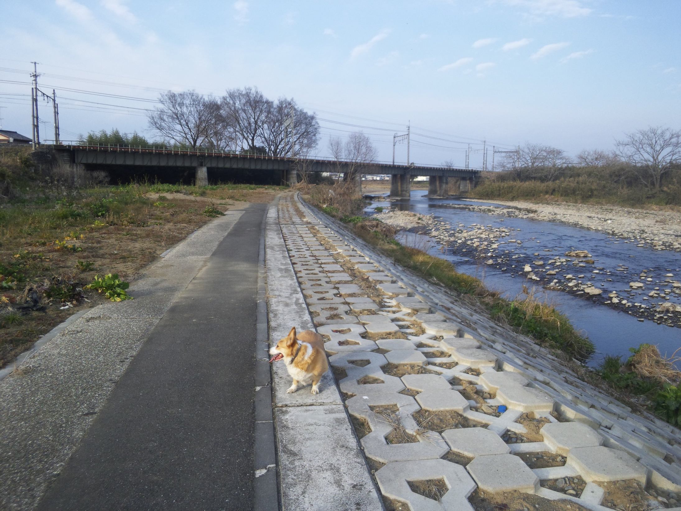 �����ނ�т��̌�����������