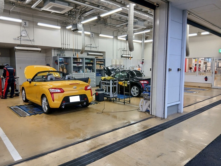 J̓ɃRy̓_ɍsivɃ~jN[p[Lj