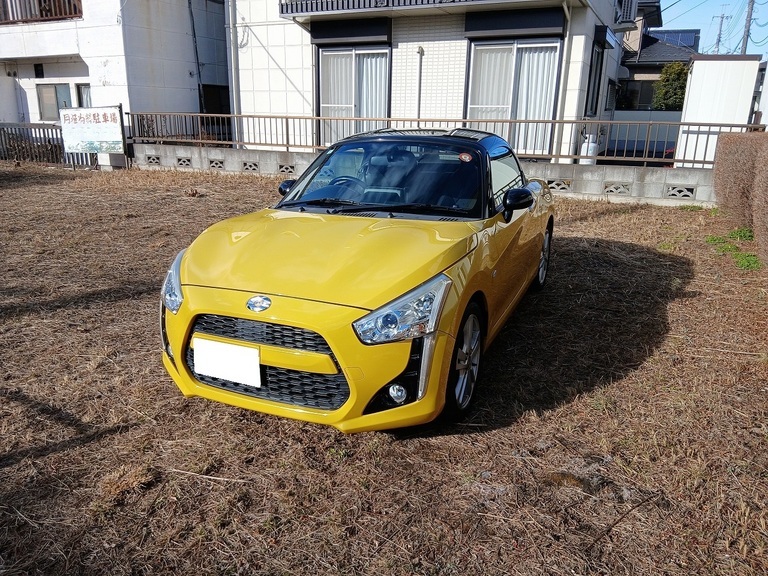 26�N�̃v�����w�i�~�j�N�[�p�[�ƃv��������L�j