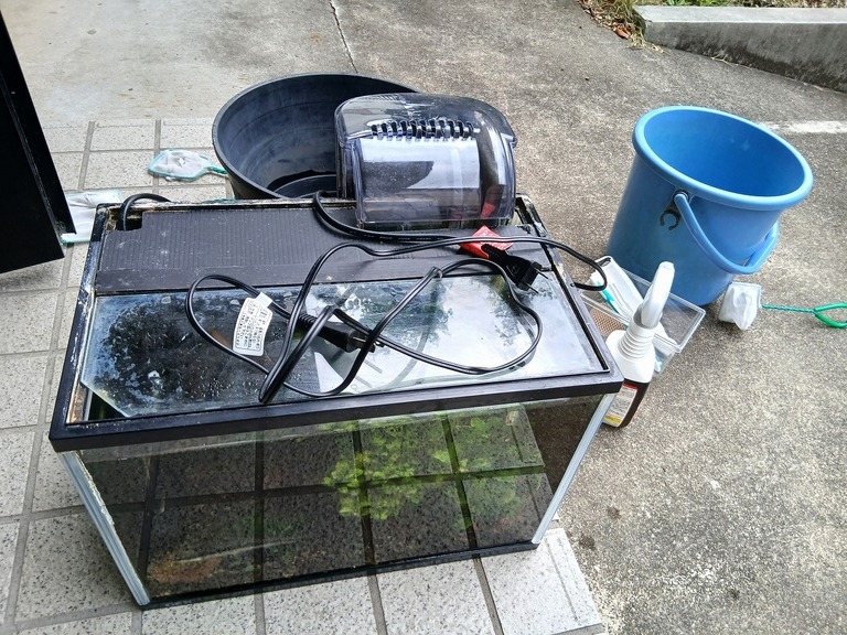 �~�j�N�[�p�[�ƃv��������L