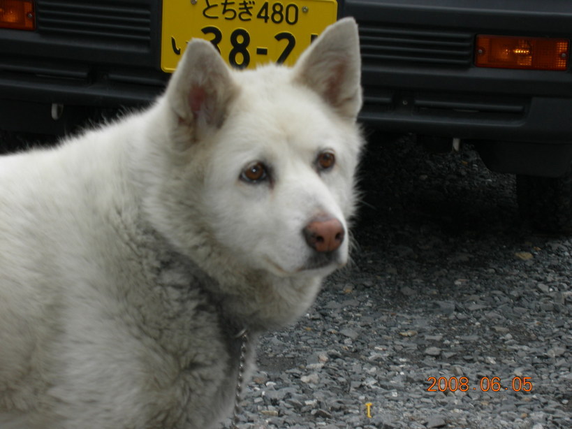 �䂪�Ƃ́@����񂲂R�Z��